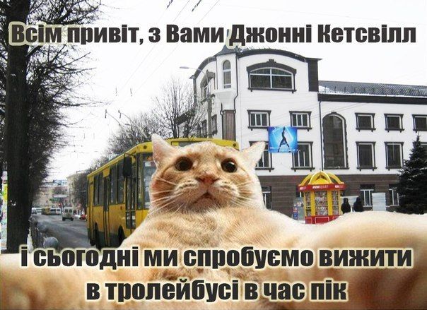 мем «Джонні Кетсвлл