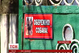 На Житомирщині оскаженілий пес на смерть загриз 1,5-річну дівчинку