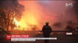 Франція просить у сусідніх держав допомоги у боротьбі з масштабною лісовою пожежею