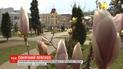 Синоптики прогнозируют прекращение осадков и потепление