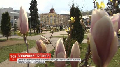 Синоптики прогнозируют прекращение осадков и потепление