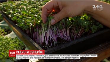 Суперфуд на власному городі: як поповнити раціон цілющими продуктами за доступною ціною