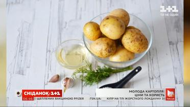 Розпочався сезон молодої картоплі: чи корисний цей продукт