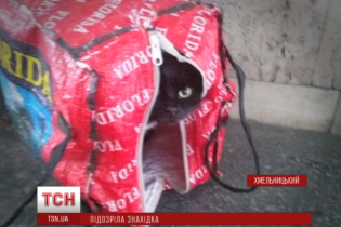 У Хмельницькому чорного кота в сумці прийняли за вибухівку