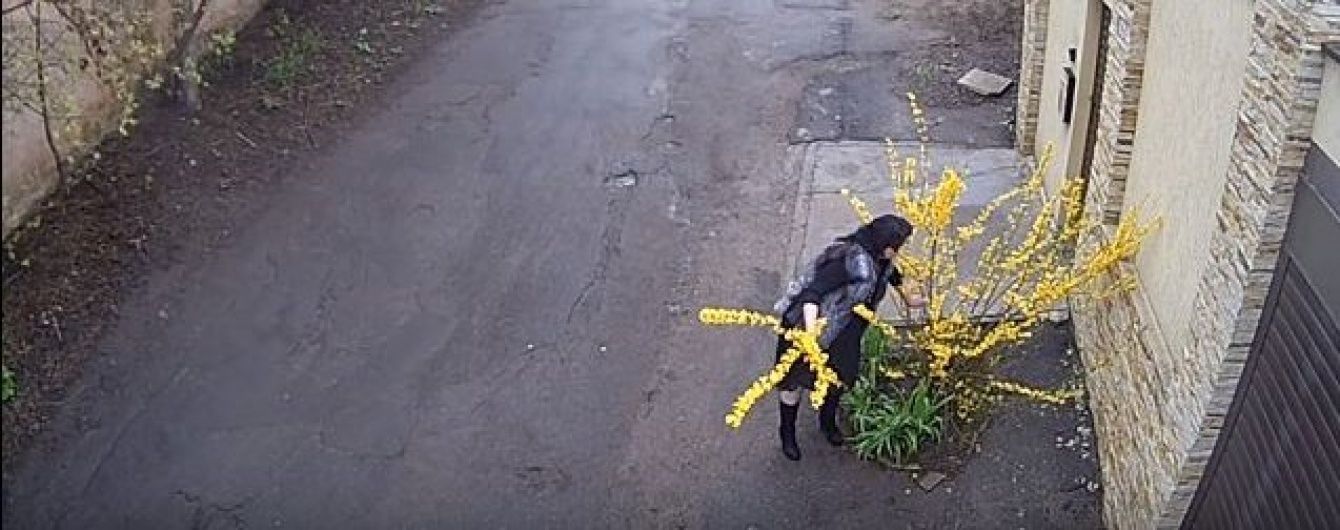 Користувачів Мережі обурило відео, у якому одеситка на BMW обдирає квітучий кущ