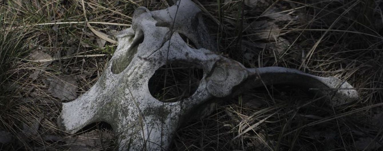 У Мережі показали кінець світу