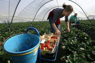 У Польщі українським заробітчанам нараховуватимуть зарплату нарівні з поляками