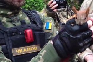 У зоні АТО руде білченя "напало" на розвідників