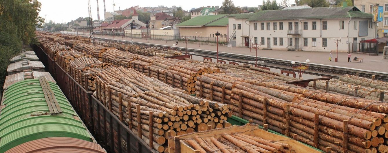 Кабмін звільнив керівника Держлісагентства та заборонив будь-яке вирубування лісів