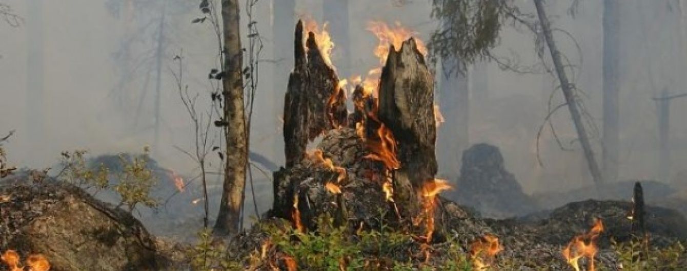 У Забайкаллі і Бурятії суттєво зросла площа лісових пожеж