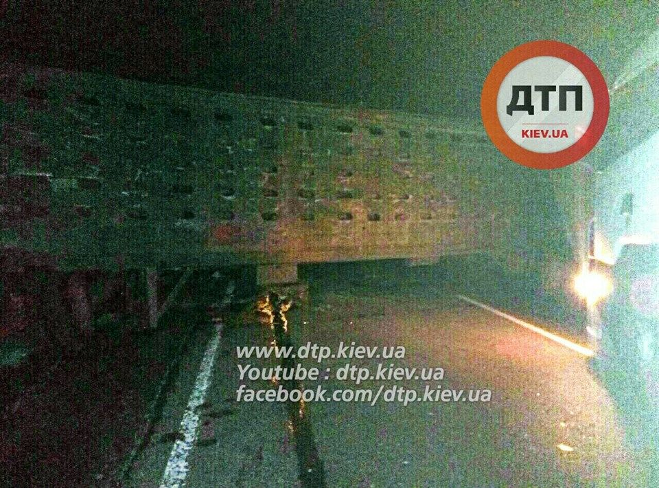 дтп під києвом скотовоз_1