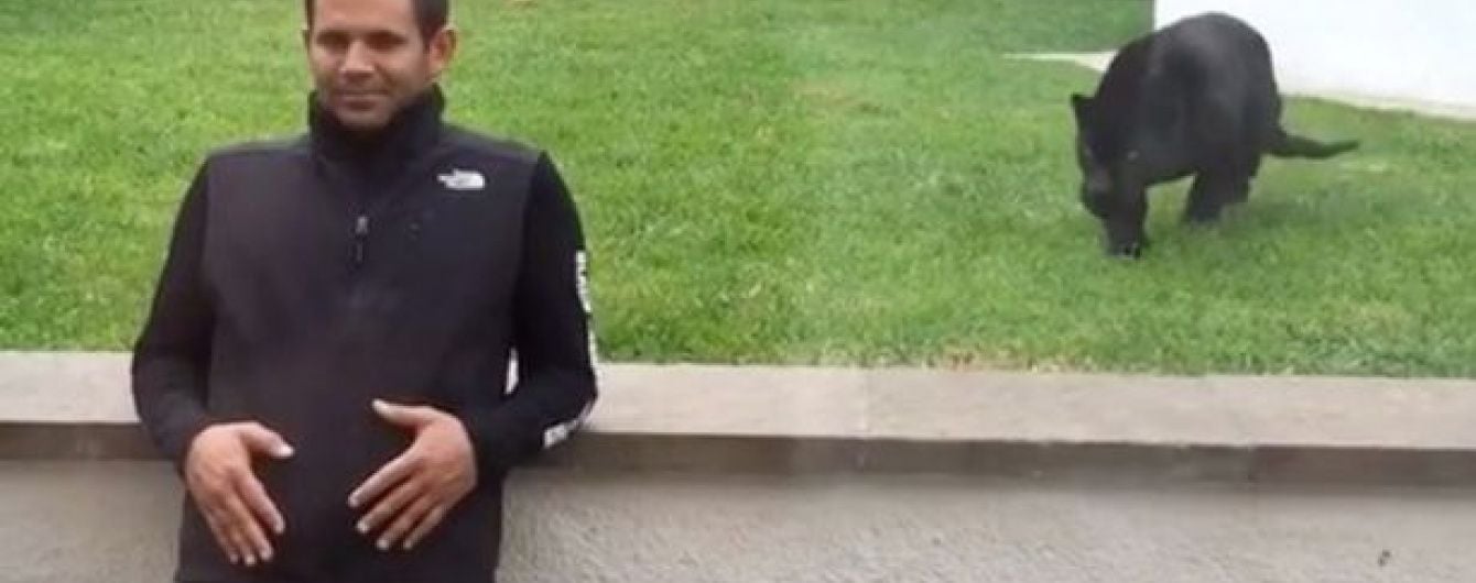 Очевидці зняли на відео, як чорна пантера у зоопарку підкралася до людини