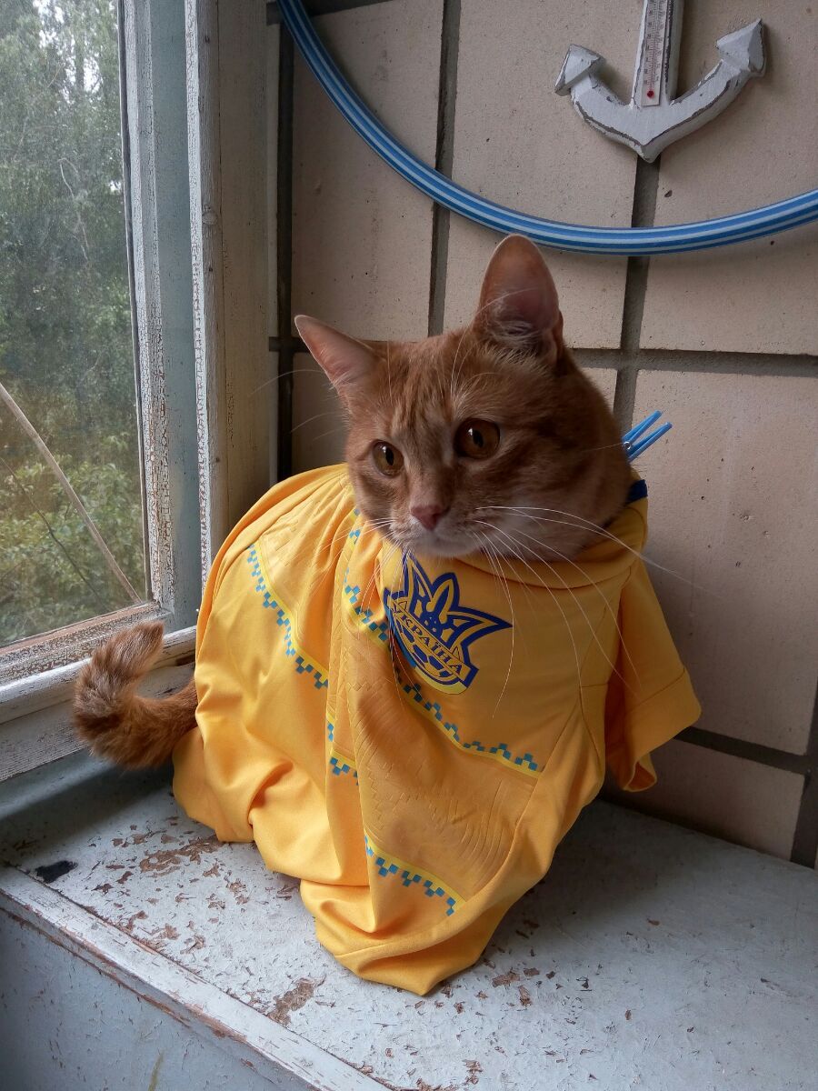 Котєйка Лізи