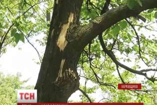 Родичі розповіли подробиці загибелі хлопчика від удару блискавки на Харківщині