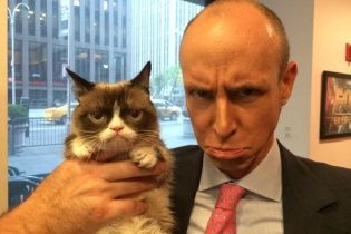 #CatsAgainstBrexit: коти виступили проти виходу Великобританії з ЄС