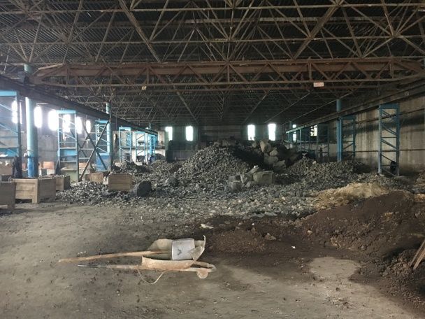 сильные лекарства от паразитов сильные лекарства от паразитов