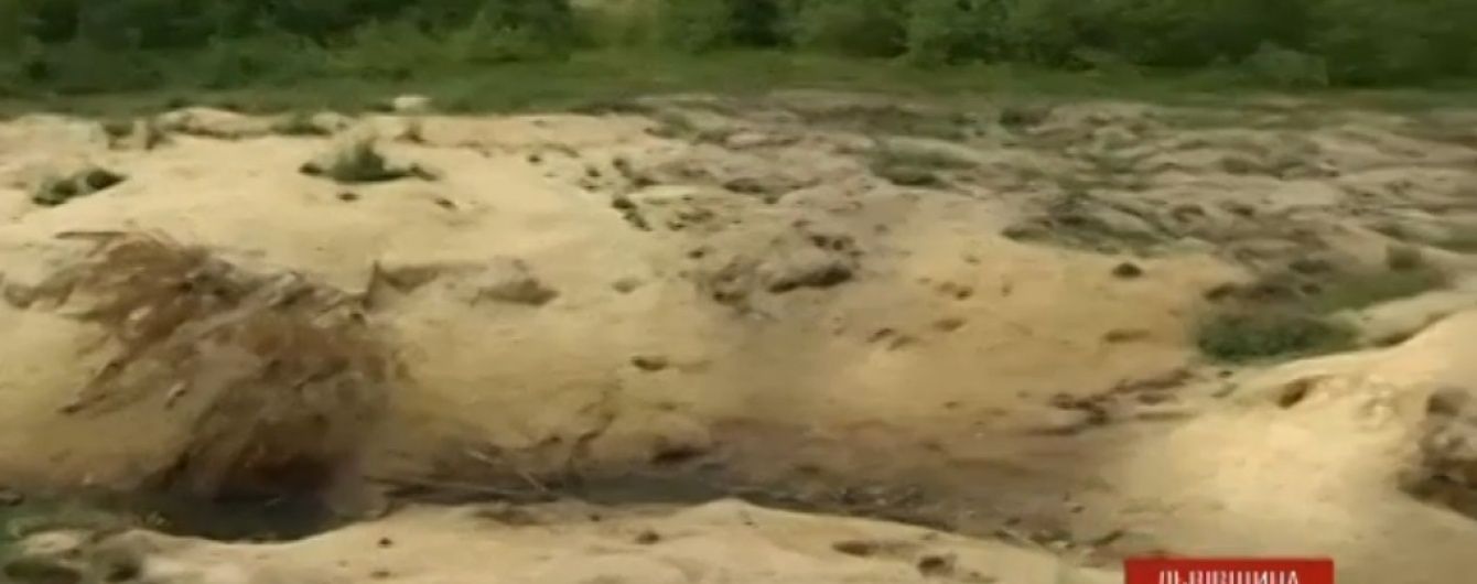 Неймовірний сморід і рештки. На Львівщині зловмисники облаштували масштабний "цвинтар тварин"