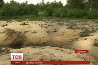 Неймовірний сморід і рештки. На Львівщині зловмисники облаштували масштабний "цвинтар тварин"