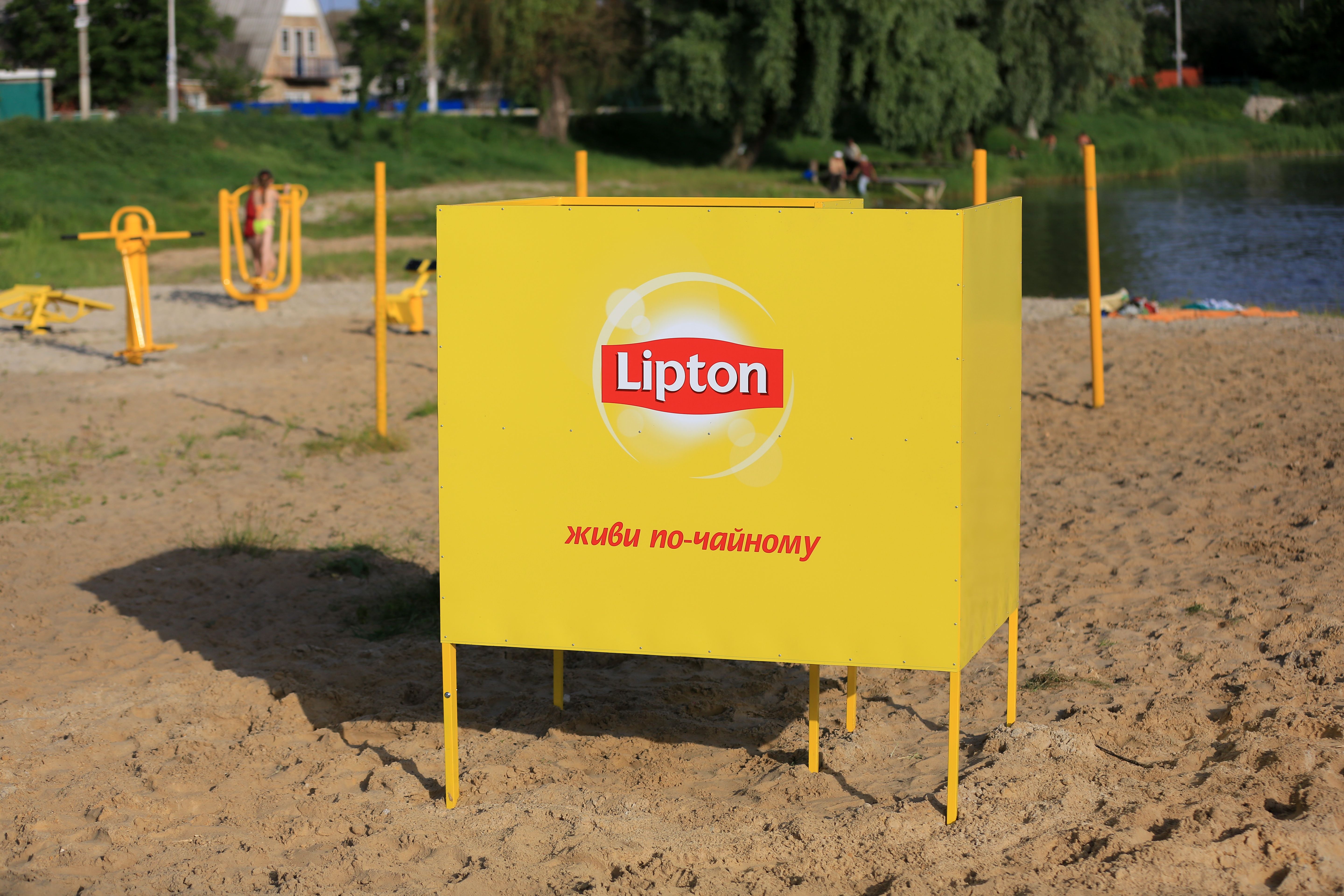 Lipton