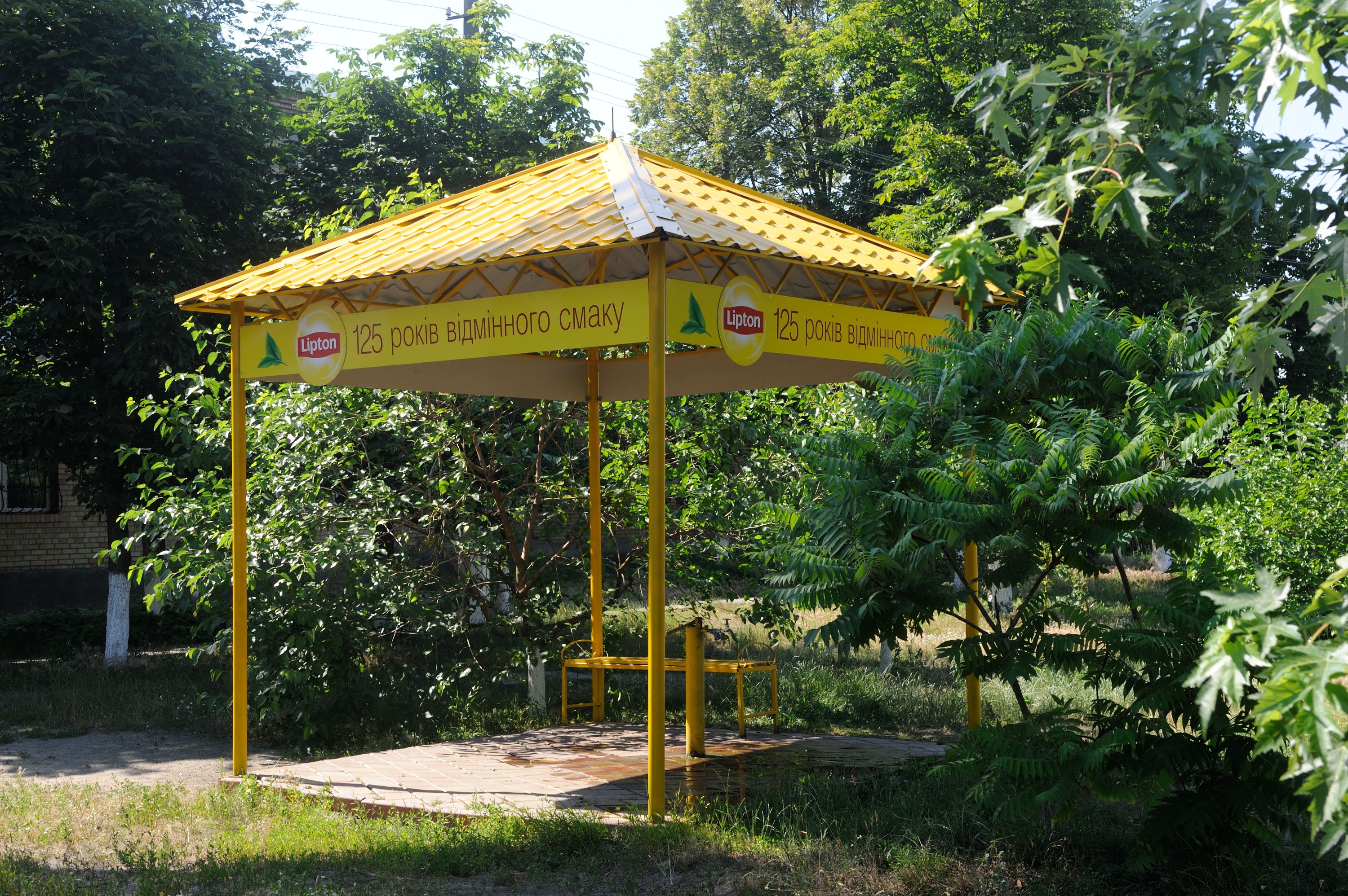 Lipton