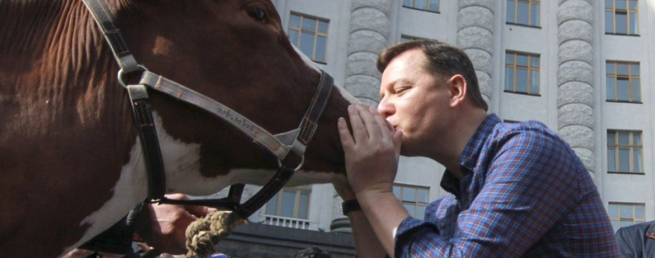 Ляшко розповів депутатам, що таке корова