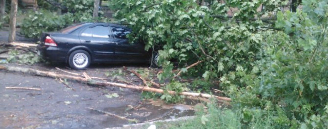 Буревій в Ужгороді виривав із корінням величезні дерева та кришив автівки