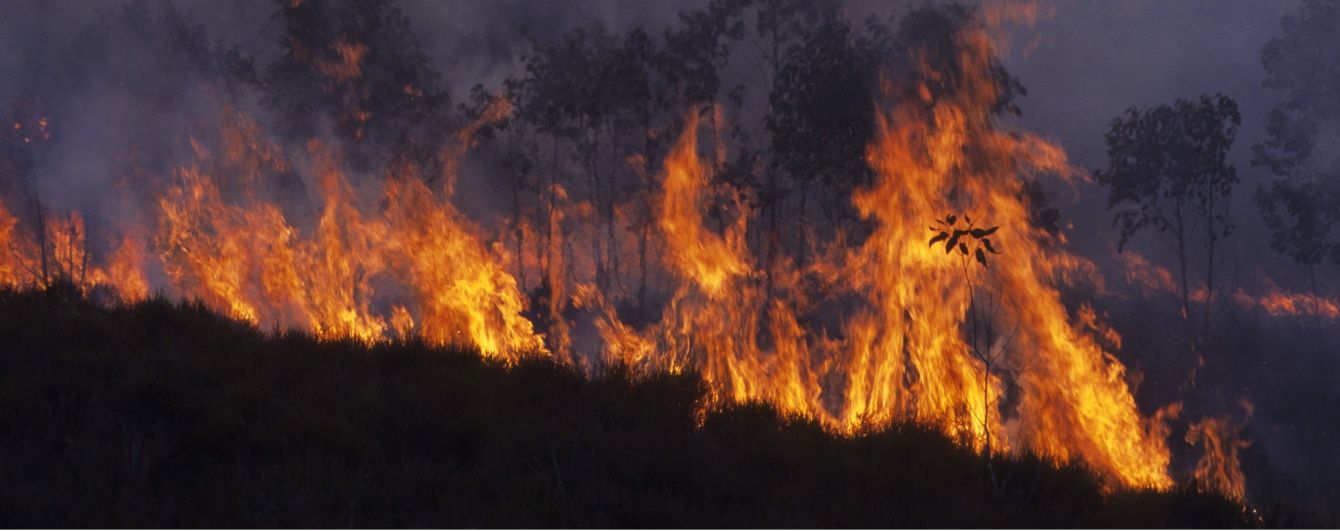 На Мадагаскарі під час вечірки в будинку спалахнула пожежа, 38 осіб загинули
