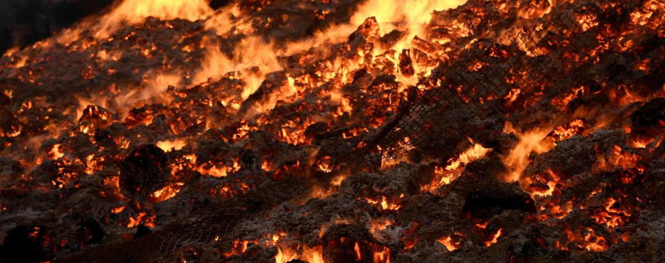 ДСНС попередила про найвищий рівень пожежної небезпеки в деяких областях України