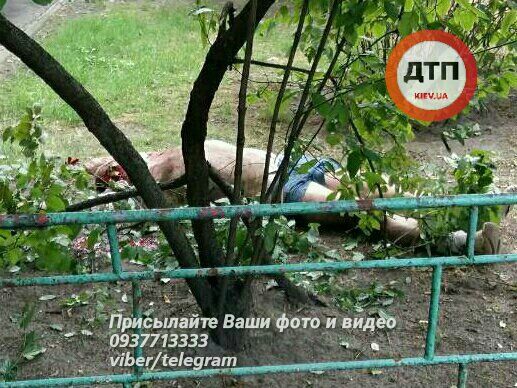 вистрибнув київ