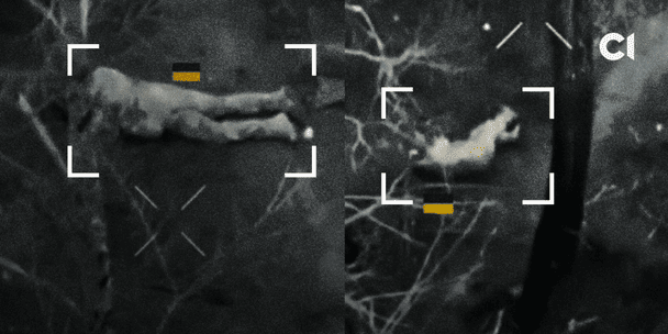 Страчені українські полонені на Курщині / © скриншот з відео