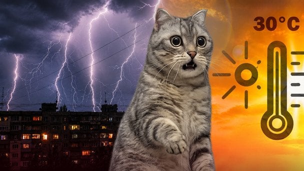 Захід заливатиме, а на півдні очікується спека: синоптики розповіли, якою буде погода в Україні цими вихідними