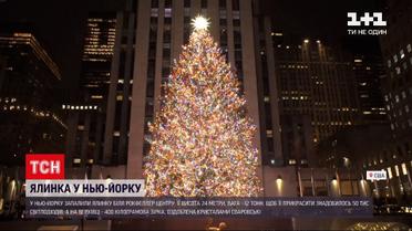 Главную елку Нью-Йорка зажгли рождественскими огнями