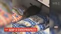 Рівненський щур в супермаркеті став зіркою Мережі