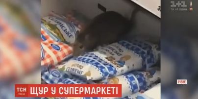 Ровенская крыса в супермаркете стала звездой Сети