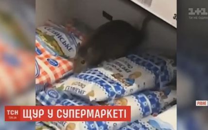 Ровенская крыса в супермаркете стала звездой Сети
