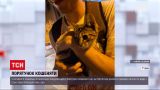 Новости Украины: в центре Львова развернули операцию по спасению котенка