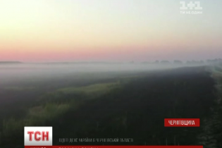 На Чернігівщині пожежа на полі перекинулася на торфовище