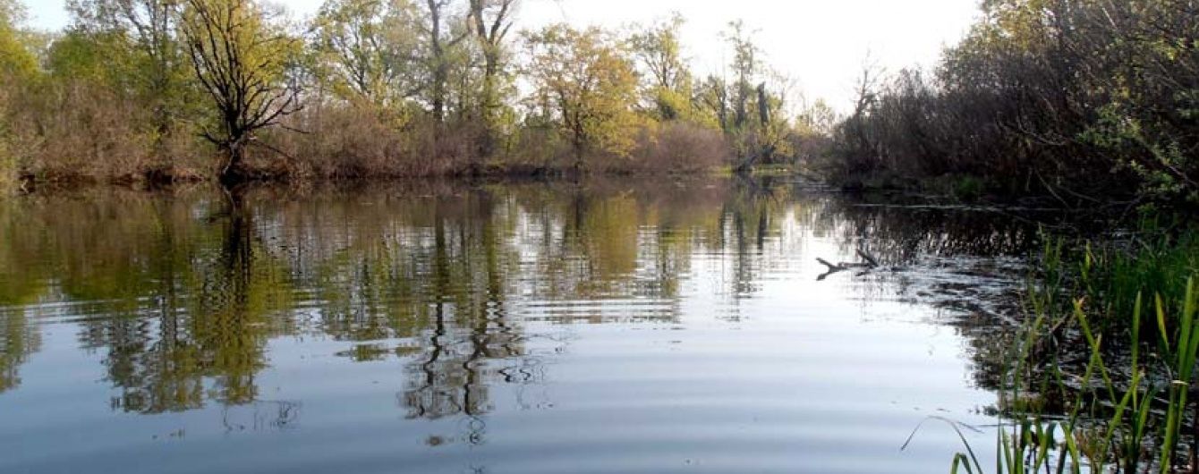 У Києві в одній із річок виявили підвищений рівень хімікатів