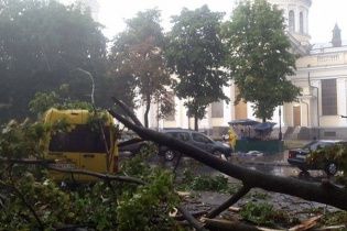 У Затоці на майданчику фестивалю важкою технікою розгрібають наслідки буревію