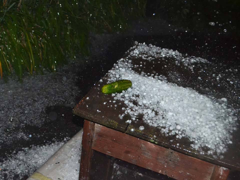град у Полтаві 10 серпня