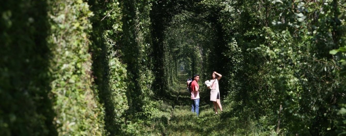Найпривабливіше для туристів село. У Клевані в Тунелі кохання хочуть влаштовувати "швидкі" весілля