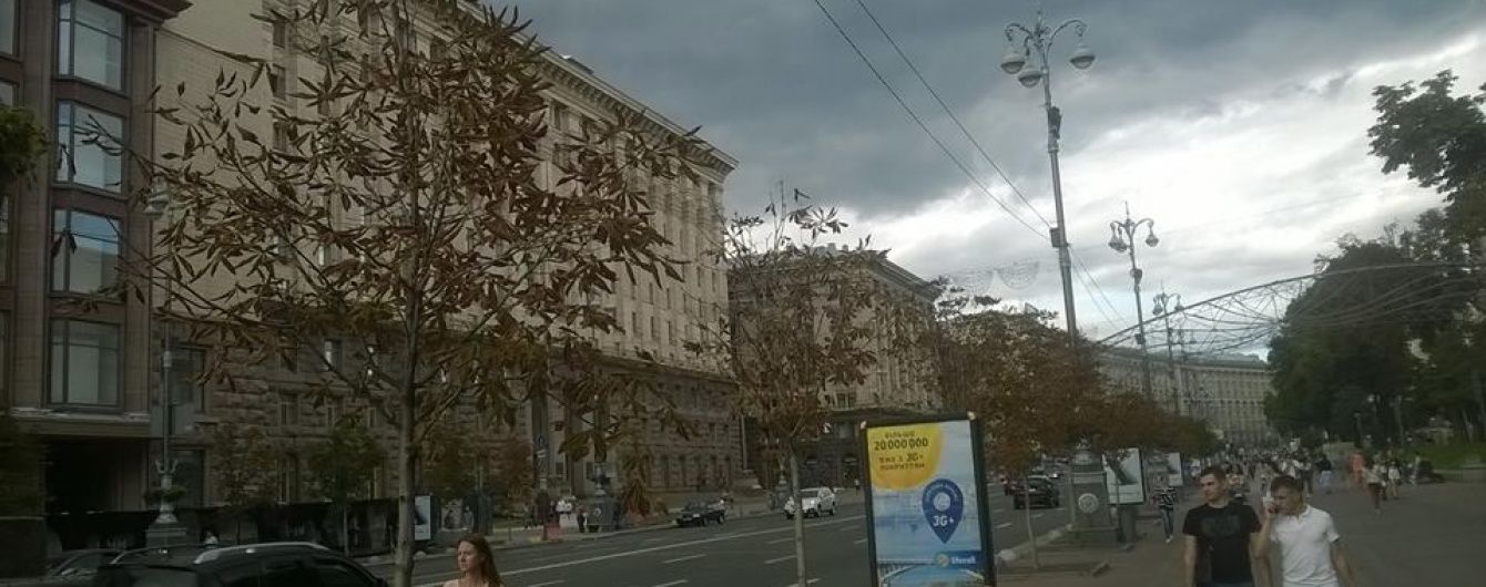 Всохлі на Хрещатику каштани можуть замінити на інші дерева