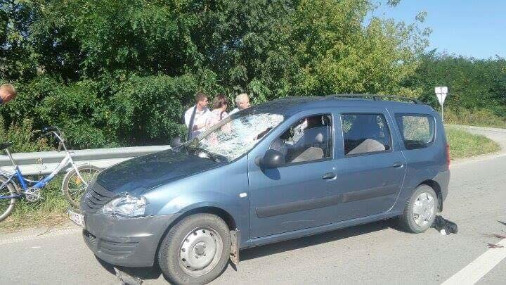 дт п житомирщина дитина_4