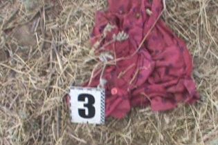 Стали відомі подробиці жорстокого вбивства 8-річної дівчинки на Одещині