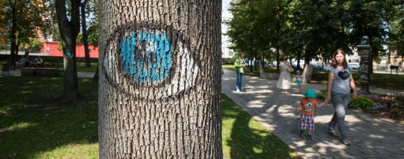 На більшій частині України буде по-літньому тепло. Прогноз погоди на 5 вересня