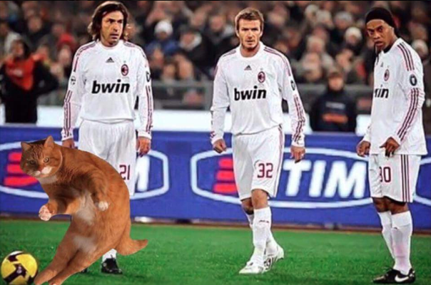 Котіньо_8