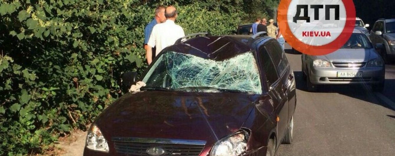 Водій розповів, як збив лося під Києвом