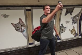 Музей котів. Британці замінили всю рекламу в метро на зображення безхатніх тварин