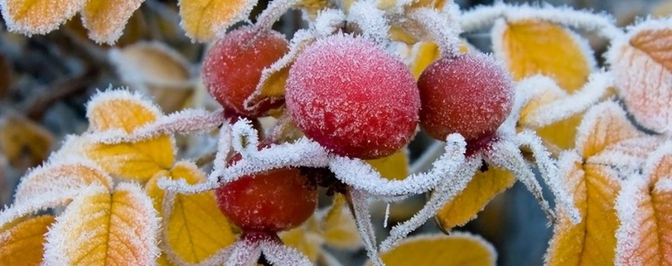 На Україну насуваються перші заморозки