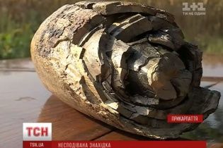 Сенсационная находка. На Прикарпатье выкопали бивень мамонта